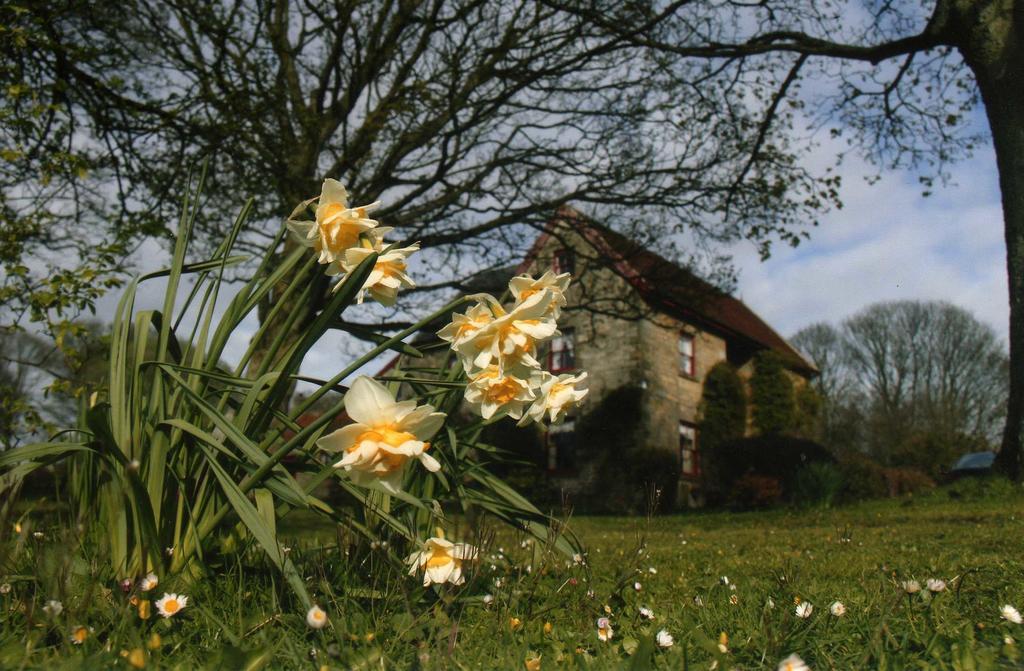 High Farm B&B Pickering Exteriör bild